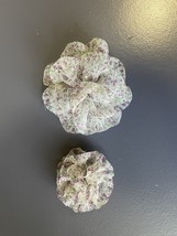 Unbranded One Flower Hair Clip and One Flower Hair Elastic Tie- e001 - €3,07 EUR