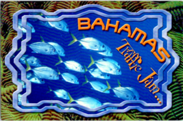 Postcard Bahamas Traffic Jam a School of Jacks Swim Through Clear Waters 6 x 4&quot; - £3.96 GBP