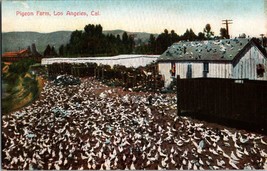 Pigeon Farm Los Angels California Vintage Postcard (C15) - £9.54 GBP