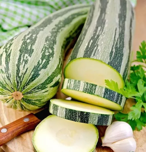 35 COCOZELLE ZUCCHINI Seeds Organic Heirloom Vegetable - $93.12 MXN