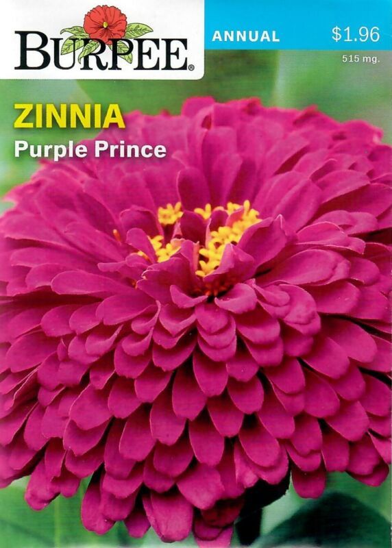 Best Zinnia Purple Prince Flower Seeds Burpee 515Mg 11/21 - $8.42