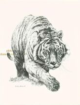 #97 STALKING TIGER * wildlife  art print * pen &amp; ink drawing by Jan Jellins - $12.50