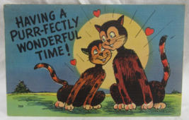 Funny Linen Postcard 709 Having A Purr-fectly Wonderful Time! Valentine Cat&#39;s - £2.36 GBP