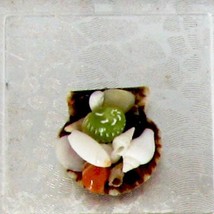 Shell Collection in Scallop Shell Bowl #6052wjs Wendy&#39;s Dollhouse Miniatures - £9.83 GBP