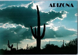 Saguaro Cactus Cloudy Sky Arizona Postcard - £4.70 GBP