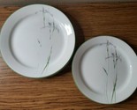8 Corelle SHADOW IRIS 5 Dinner Plates 3 Salad Plates - $39.99