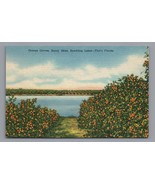 Orange Groves Florida Linen Postcard PC - £4.63 GBP