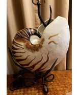 Nautilus Beach House Decor Style Sea Shell Wrought Iron Decorative Lamp ... - $185.00