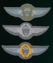  GERMANY, ARMY, PARA WINGS, COMPLETE SET, ON GRAY, CIRCA 1960&#39;s, PARACHU... - $372.79 MXN