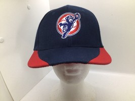 Baseball Cap Hat Minor League Express Unemployment Professionals Ball cap - $9.89