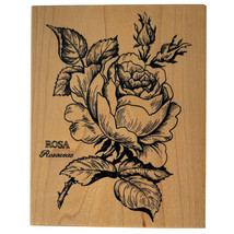 PSX Rose Rosa Botanical Rubber Stamp K-023 Rosaceae Flower Vintage 1992 New - £16.71 GBP