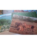 Vintage 7 African Animals &amp; Brid Plastic Placemat - £6.40 GBP