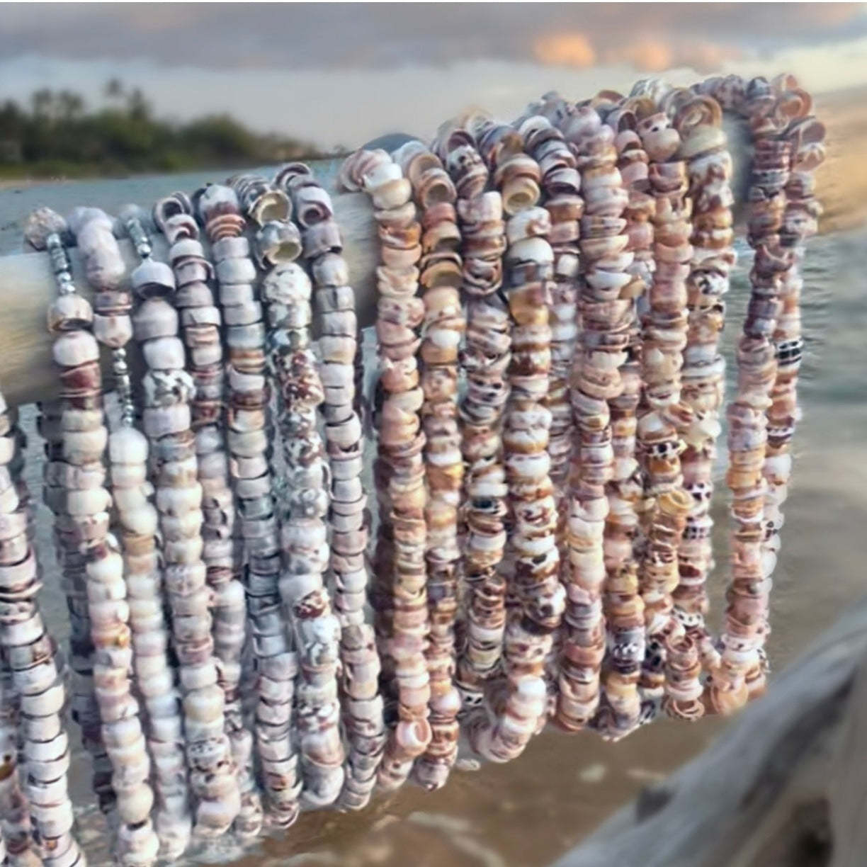 da Hawaiian Store Natural Cone Puka Shell Choker Necklace (Choose size a... - $24.99+