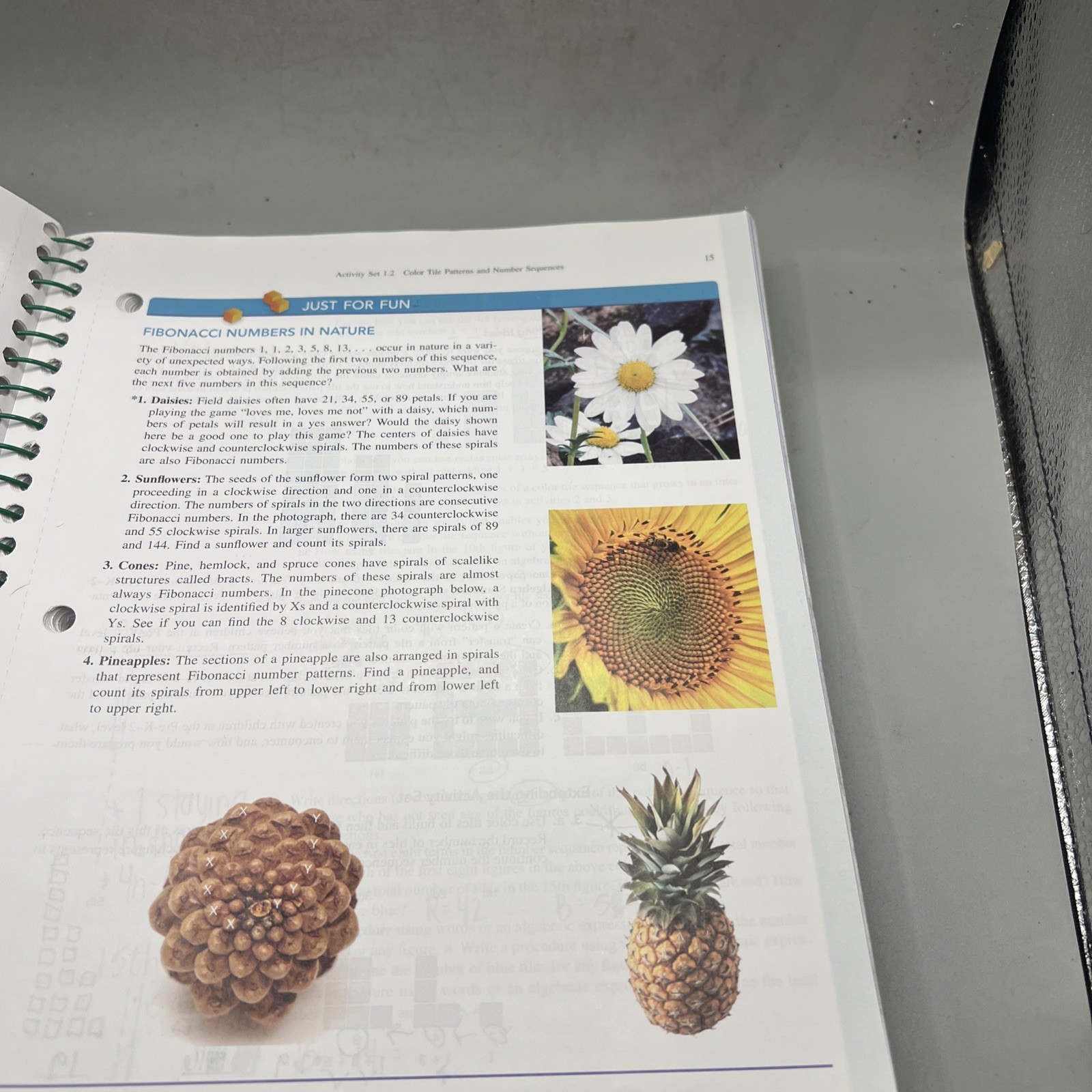Mathematics for Elementary Teachers: An Activity Approach 10th Edition Item image 10