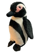 2006  K &M Blackfoot Penguin Plush Stuffed Animal Toy - $9.50