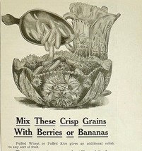 Antique 1901 Quaker Oats XL Advertisement Food Cereal Ephemera 12.5 x 5.5 - £12.93 GBP