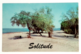 Fort Clinch State Park Fernandina Beach Solitude Florida FL Dexter Postcard 1960 - £3.98 GBP