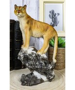Mountain Lion Cougar Standing On Edge of Snow Capped Rock Statue Wildlif... - $40.99 CAD
