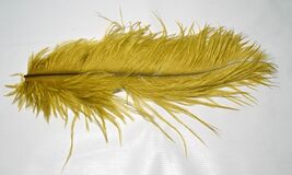 Hareline Dubbing Inc Ostrich Herl Scud/Plume Olive #501a - $5.78