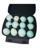 Hollowed Celadon Quail Eggs (Count of 10) - $19.59