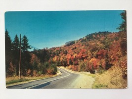  Vintage Postcard Unposted ✉️ Hot Springs National Park Autumn Colors Arkansas - £1.95 GBP