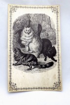 VTG Cat Antique Look Sketching Postcard Huge 3 BS LTD Great Falls VA 196... - $5.40