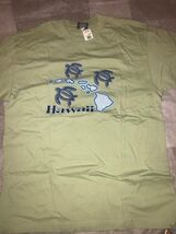 Brand New Hawaii Tee Shirt - €21,16 EUR