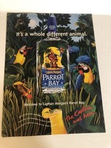 1997 Captain Morgan Pirate Bay Vintage Print Ad Advertisement pa14 - £5.53 GBP