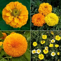 Sunny Day Flower Seed Mix Heirloom Open Pollinated Nongmo Fresh Garden U... - £6.49 GBP