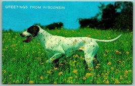 Pointer Dog Greetings From Wisconsin WI UNP Chrome Postcard C14 - £2.53 GBP