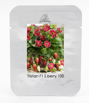 NEW Tristan F1 Strawberry Seeds, 1 Professional Pack, 100 Seeds / Pack, Deep Ros - $5.99