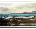 Salton Sea Colorado Desert California CA UNP Unused WB Postcard H25 - $14.80