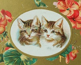 1910 Greetings from Marietta Ohio Vintage Postcard Gold Tone Kittens Cats Floral - £19.36 GBP