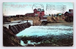 View of Mills and Dam Neligh Nebraska NE 1908 Leaver&#39;s Pharmacy DB Postc... - £5.39 GBP