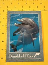 Postcard Dolphins at Brookfield Zoo Chicago Illinois Postcard - $4.99