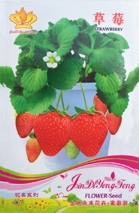 Big Red Strawberry Seeds 40 Seeds - $7.99