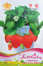 Big Red Strawberry Seeds 40 Seeds - $7.99