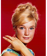 Yvette Mimieux beautiful studio portrait 1967 red background 12x18 Poster - $373.69 MXN