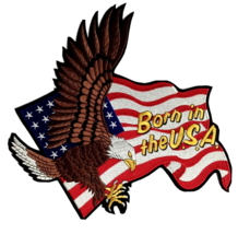 Born in the USA American Flag Embroidered Iron On Jacket Patch 12&quot;h x 12... - $24.99
