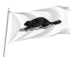 Naval ensign of New York 1775 Flag,Size -3x5Ft / 90x150cm, Garden flags - $29.80