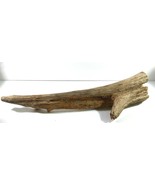 DRIFTWOOD Terrarium Aquascapes Home Decor DRIFT WOOD LONG 19” L - $16.14