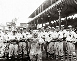 Chicago Cubs 1908 World Series Champions Mascot Team 48x36-8x10 CHOICES - $24.99+