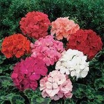 6549b4a30e5e5 613150b thumb200