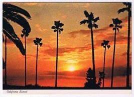 California Postcard Sunset Palm Trees - $2.96