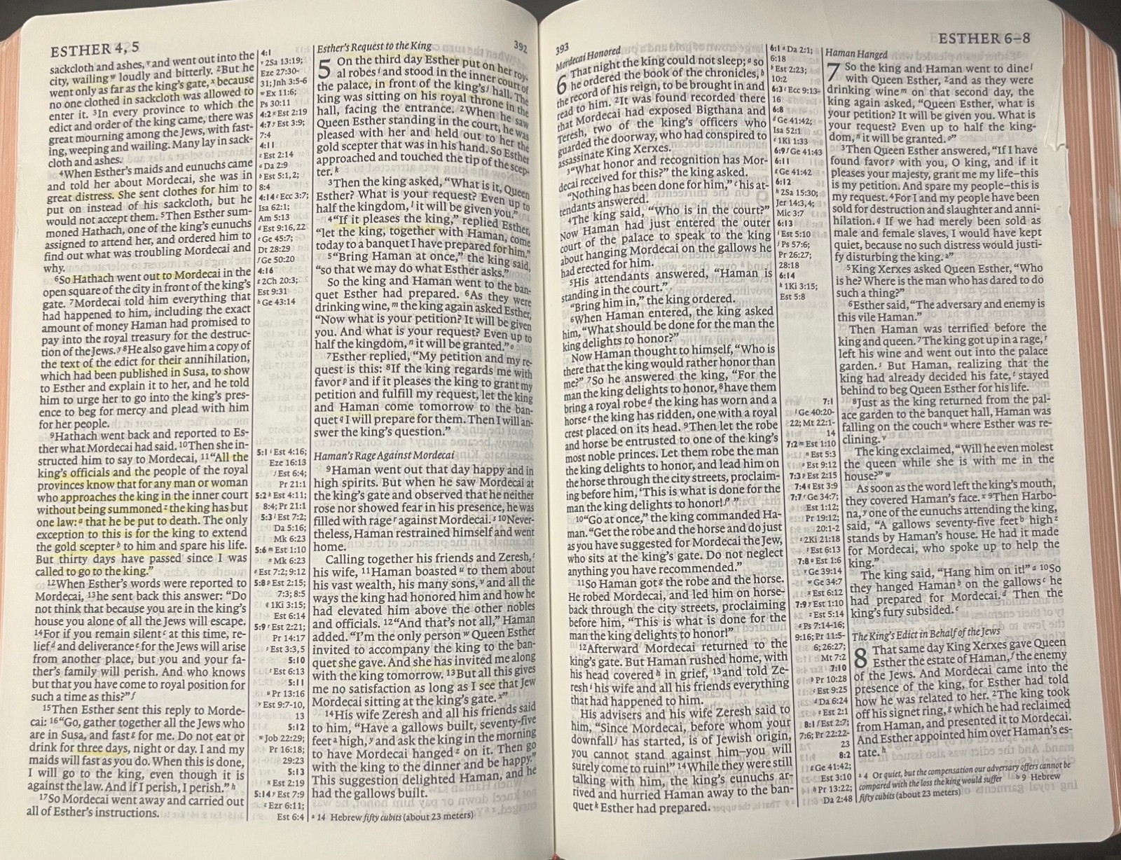 NIV Bible Pitt Minion Reference Edition Black Goatskin  Leather NI186RC Item image 6