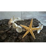 Mermaid Crown, Starfish seashells headband, Nautical Wedding - $36.00