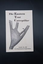 Vtg U.S. Department of Agriculture Leaflet Eastern Tent Caterpillar #161... - $272.48 MXN