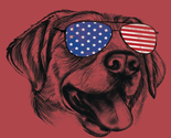 Mens Short Sleeve Graphic T-shirt Size 3XL Patriotic Dog Sunglasses 4th ... - $12.00