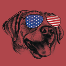 Mens Short Sleeve Graphic T-shirt Size 3XL Patriotic Dog Sunglasses 4th July Red - £9.62 GBP