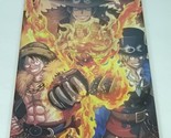 Ace Sabo Luffy Brother One Piece #040 Double-sided Art Size A4 8&quot;x11&quot; Wa... - £32.14 GBP